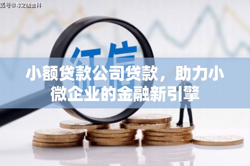 大里小额贷款公司贷款，助力小微企业的金融新引擎