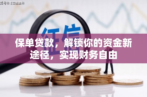 玉树保单贷款，解锁你的资金新途径，实现财务自由