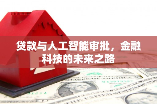 水里贷款与人工智能审批，金融科技的未来之路