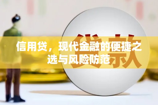 顺河信用贷，现代金融的便捷之选与风险防范
