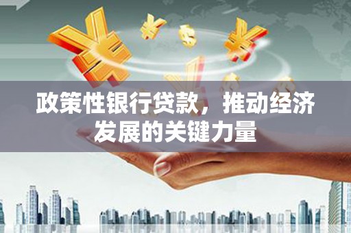 旌阳政策性银行贷款，推动经济发展的关键力量