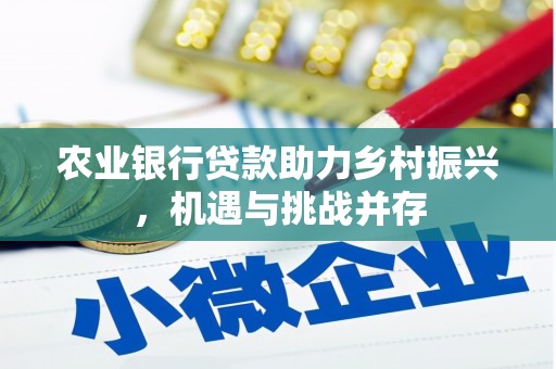 贵定农业银行贷款助力乡村振兴，机遇与挑战并存