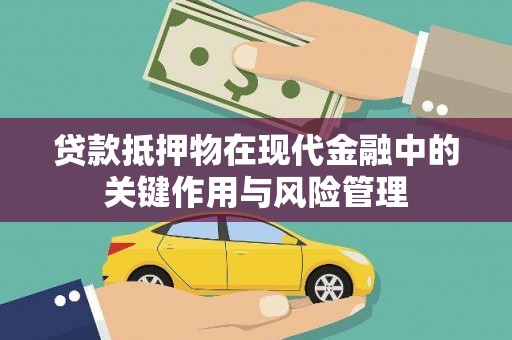 普格贷款抵押物在现代金融中的关键作用与风险管理