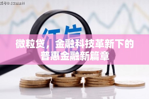 海勃湾微粒贷，金融科技革新下的普惠金融新篇章