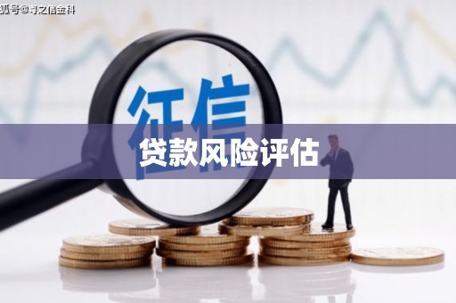 白沙贷款风险评估