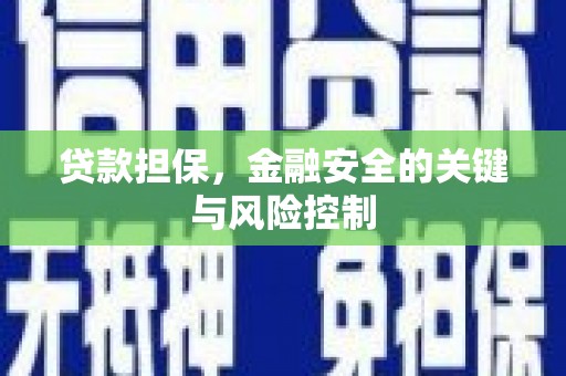 汶上贷款担保，金融安全的关键与风险控制