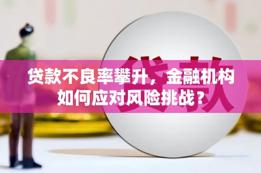 广阳贷款不良率攀升，金融机构如何应对风险挑战？