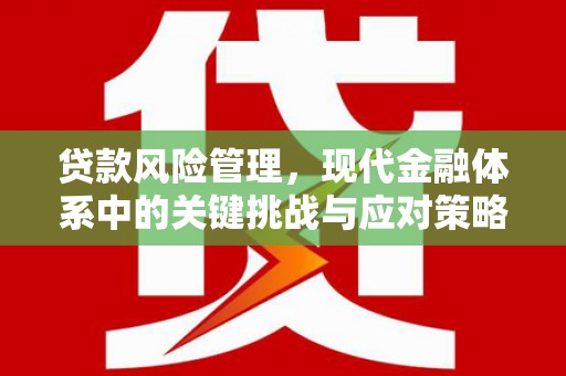 八步贷款风险管理，现代金融体系中的关键挑战与应对策略