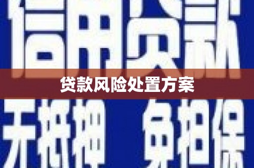 永年贷款风险处置方案