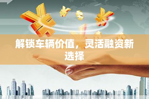 双清解锁车辆价值，灵活融资新选择