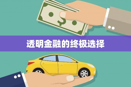 洋县透明金融的终极选择