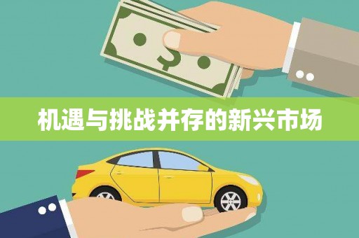 喀什机遇与挑战并存的新兴市场