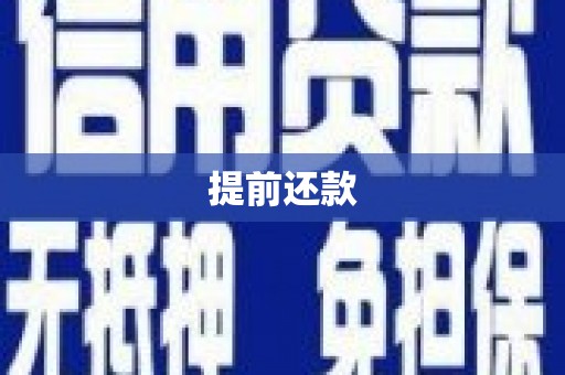 普湾新区提前还款