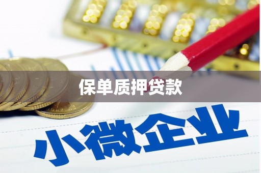 昭苏保单质押贷款