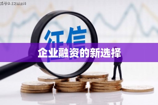 南城企业融资的新选择