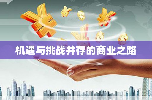 丰城机遇与挑战并存的商业之路