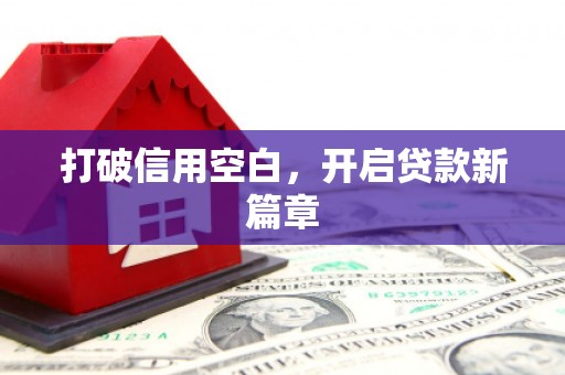 龙崎打破信用空白，开启贷款新篇章