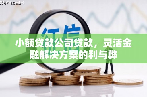 友谊小额贷款公司贷款，灵活金融解决方案的利与弊